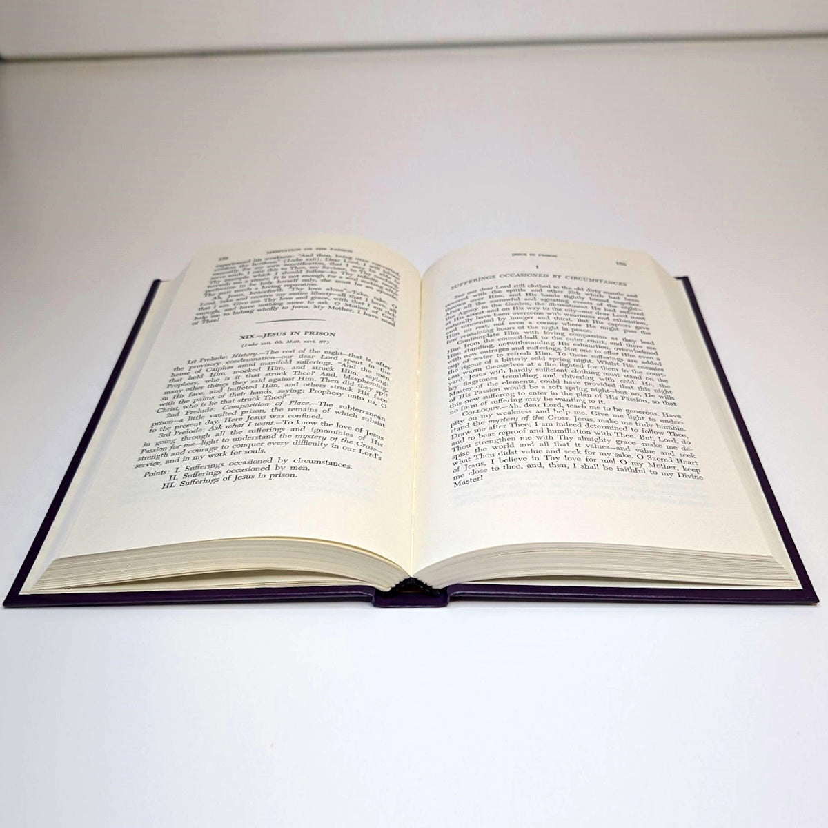 Meditation on The Passion