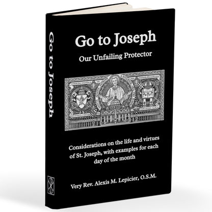 Go To Joseph: Our Unfailing Protector (Hardcover, Paperback & eBook)